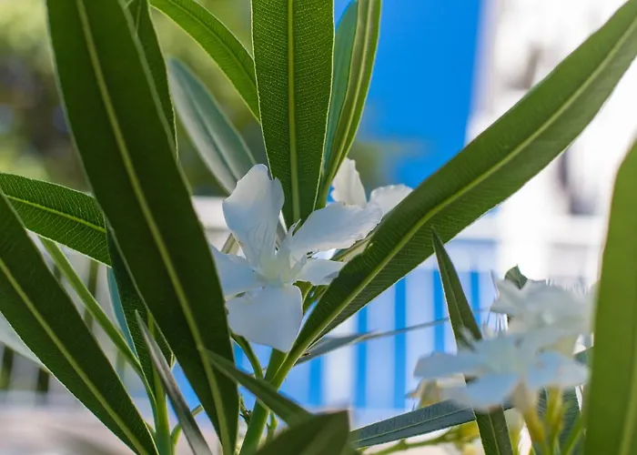 Apartman Amila Crikvenica